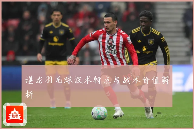 谌龙羽毛球技术特点与战术价值解析