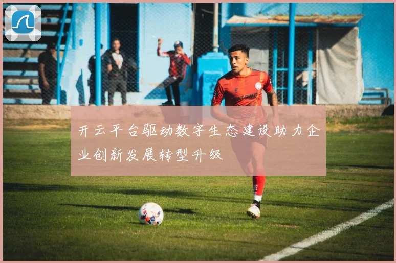 开云平台驱动数字生态建设助力企业创新发展转型升级