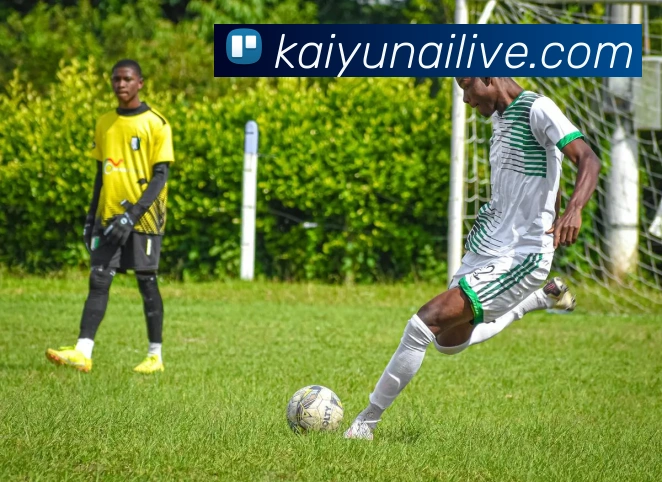 开云平台展示图