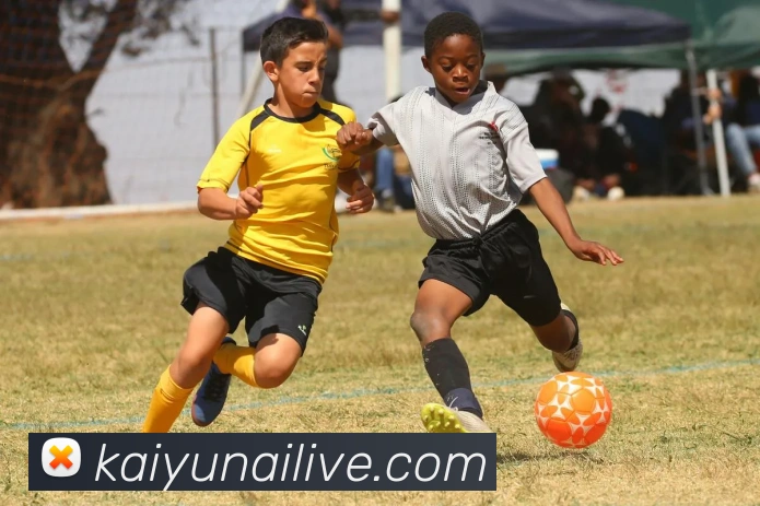 开云娱乐全站App